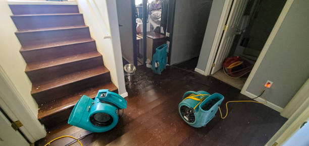 Best Water damage cleanup near me  in Southwest Greensburg, PA
