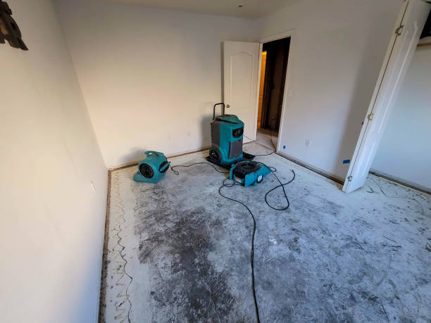 Best Local water damage restoration  in Southwest Greensburg, PA