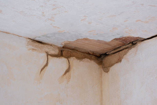 Best Flooded house restoration  in Southwest Greensburg, PA