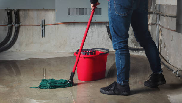Best Flooded house restoration  in Southwest Greensburg, PA