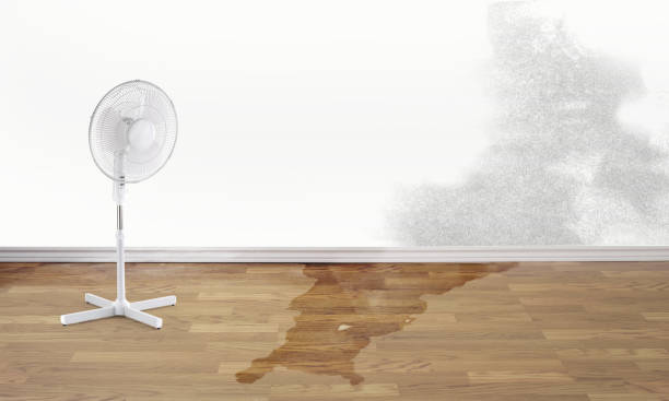 Best Water damage restoration process  in Southwest Greensburg, PA