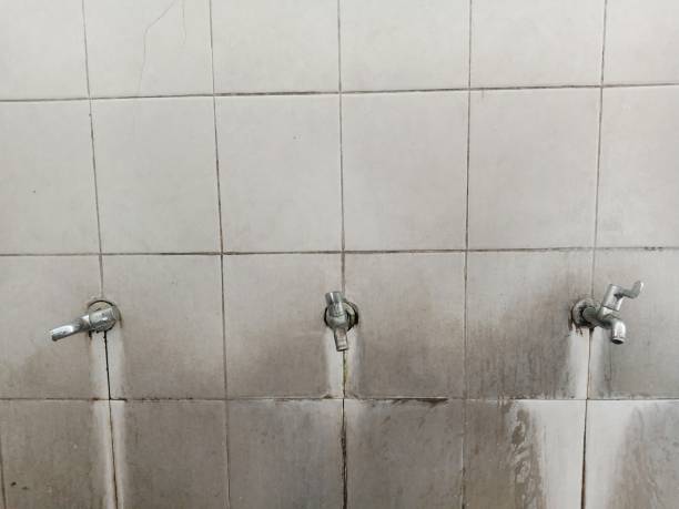 Carpet water damage restoration in Southwest Greensburg, PA