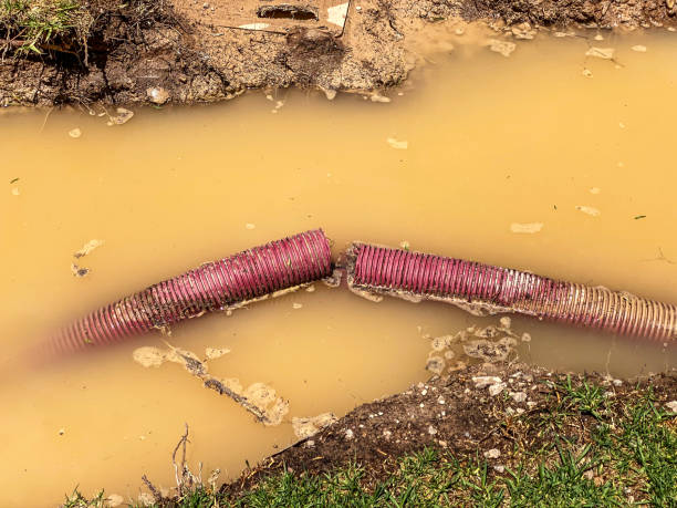 Carpet water damage restoration in Southwest Greensburg, PA