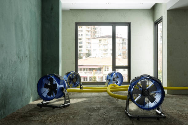 Best Fire Damage Restoration  in Southwest Greensburg, PA