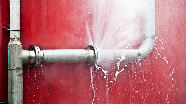 Best Water damage restoration near me  in Southwest Greensburg, PA